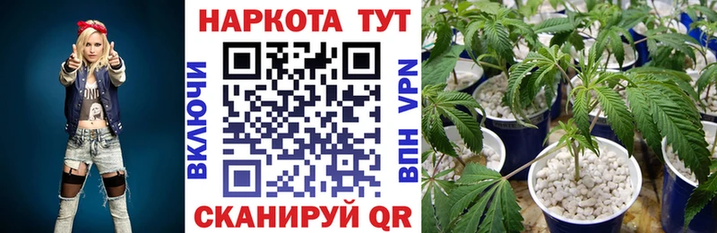 Купить закладку Кокаин МЕТАДОН Канабис ТГК Альфа ПВП Меф мяу мяу Ряжск