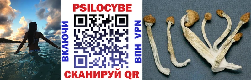 Галлюциногенные грибы MAGIC MUSHROOMS  Купить закладки  Ряжск 